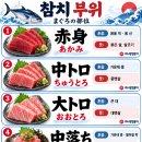 참치부위 1-5 이미지