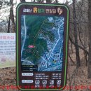 퇴계원5리 Daum카페