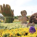 남문토방 애견동반 펜션 | 태안 가을꽃박람회 애견 동반 입장료 태안 가족 여행