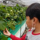 주몽농장 이미지