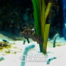 아쿠아플라넷 여수 이미지