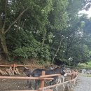 백운한우농장 이미지