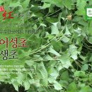 거창홍어성초영농조합법인