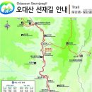 10월25일(토)오대산 선재길(상원사~월정사) 전나무숲길, 여행공지 이미지