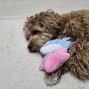 멍블랑과자점 이미지