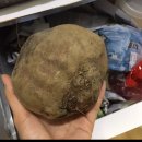 복동이네전복삼계탕