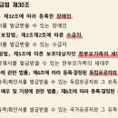 로또판매점 이미지