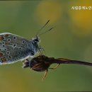 시립중계노인전문요양원 이미지