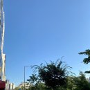 햇살품은 파스타 이미지