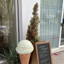 담금 젤라또 이미지