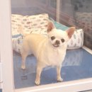 그루밍공화국 이미지