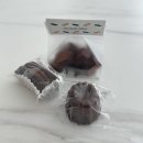 먼치바이트