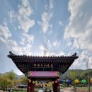 다인골프클럽 이미지