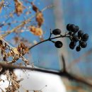 주포농장 이미지