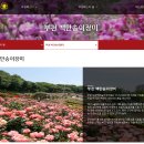 부천백만송이장미공원장미축제 가는길