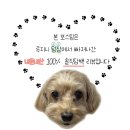 메타라운지 | 남이섬 북한강 전망 리버뷰 카페! '메타라운지'