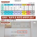 윤그루밍 이미지