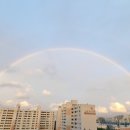 행운행정사사무소 이미지