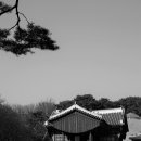묘호(廟號) 톺아보기 ①