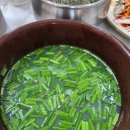 하동재첩마을 | 하동 재첩 맛집 하옹촌 식당 후기 - 7년만의 재방문