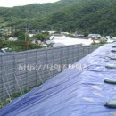 월문4리 이미지