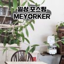 붕돈 | 짝꿍이를 위한 일상글