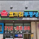 대장동코끼리공인중개사사무소 이미지