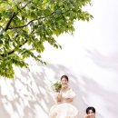 파랑스튜디오 이미지