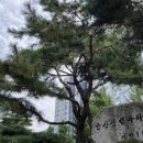 시범삼성공인중개사사무소 이미지