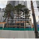 207동 부근 이미지