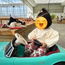[주말 나들이! 예산 딸기농장] 아이와 함께 다녀온 당일치기 ‘달보드레 딸기체험농장’ 생생후기