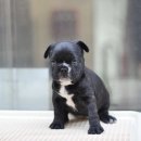 아이러브펫동물병원 이미지