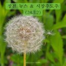 2024년 7월 2일(화), 장전 주요뉴스와 관련종목 정리 /시장 주도주