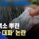 싱싱중국식품