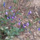 뜨락농원 이미지