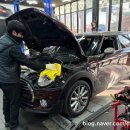 DH모터스 | F54 DH모터스에서 다시 태어나는중…