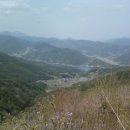 산양 궁항마을 네이버블로그