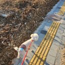 힐링멍텔 이미지