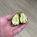 계산농장 | 43개월 아이와 밤줍기 체험 후기｜경기도 시흥 큰가일 밤농장