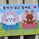 동백국수집 이미지