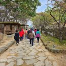 고모산성과 문경사과축제 이미지