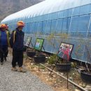 솔숲농원 이미지