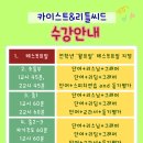 카이스트&리틀씨드영수학원