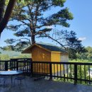 소풍(SoPoong) 이미지