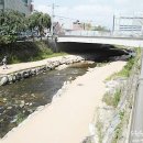 엠팔라시오 이미지