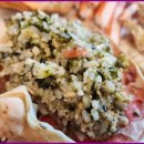 활어세상 이미지