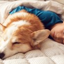 동물놀이터 화장실 이미지