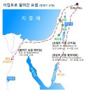 유다팜