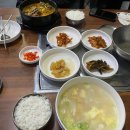 썬파크텔 이미지