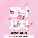 러쉬디테일러